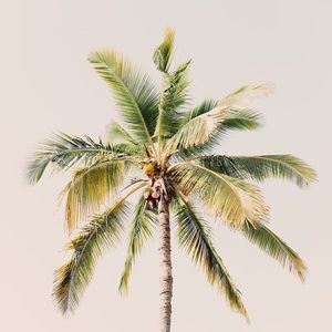 Meet your Posher, Aya